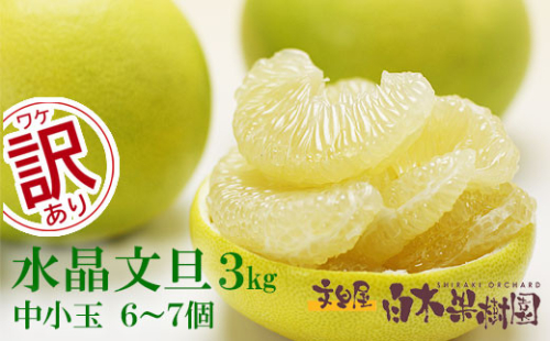 【先行予約】水晶文旦 ご家庭用お得箱 約3kg Lサイズ～２Ｌサイズ （6～7個入り）〈2026年10月上旬～11月上旬頃発送〉  /  訳あり ワケあり 訳 傷 キズ へこみ 文旦 ブンタン ぶんたん 水晶文旦 果物 柑橘【白木果樹園】 [BQAI021]