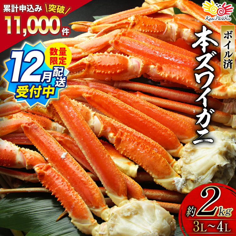 ボイル済み 本ずわいがに 脚 3L～4L 総重量2kg ( ズワイガニ ずわい蟹 ズワイ蟹 ずわい ズワイ 蟹 カニ カニ脚 蟹脚 )/ カネダイ / 宮城県 気仙沼市