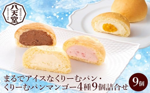 
            【八天堂】新食感！まるでアイスなくりーむパン・＜季節限定＞くりーむパンマンゴー 4種9個詰合せ スイーツ お菓子 アイス カスタード チョコレート あまおう いちご  マンゴー 冷凍 015051
          