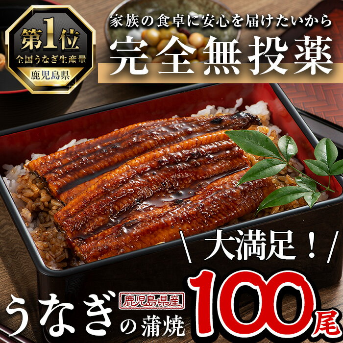 【ふるさと納税】鹿児島県産うなぎ蒲焼 (1尾あたり136g～155g×100尾、タレ・山椒付き) 鰻 ウナギ うな重 ひつまぶし かばやき 九州産 国産 冷凍 【西日本養鰻】