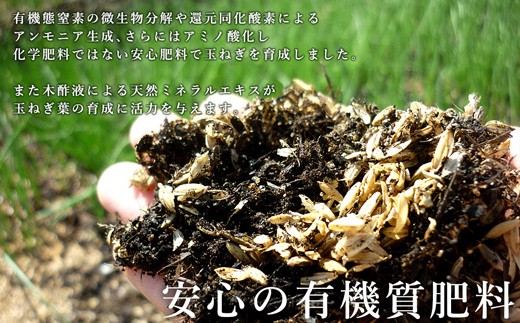 今井ファームの淡路島たまねぎ「かくし玉」 5kg　　[玉ねぎ