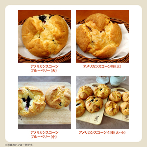 冷凍でお届け！卵不使用の手作りパン15個以上詰め合わせ【ベーカリー パン 手作り 手作りパン おやつ 食事 お食事 セット 詰め合わせ 冷凍 卵不使用 訳あり フードロス 水戸市 水戸 茨城県 100