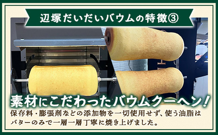 バウムクーヘン  ≪極≫ 辺塚だいだい 直径約15cm SH-713 │ バウムクーヘン バームクーヘン スイーツ ケーキ 焼き菓子 洋菓子 お菓子 おかし おやつ デザート プレゼント 贈り物 ギフ