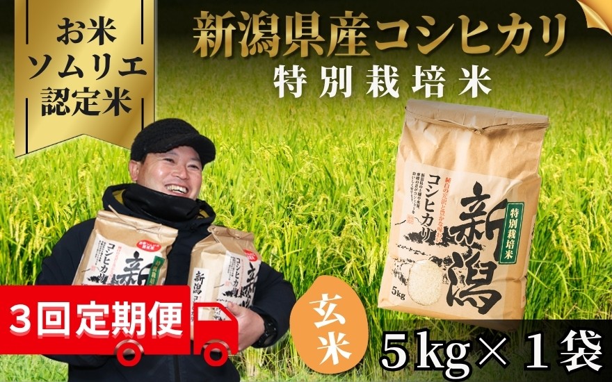 
                  【先行予約】【令和8年産】〈3回定期便〉【お米のソムリエのお米】特別栽培米コシヒカリ 玄米 5kg（5kg×1袋） 新潟県 五泉市 エバーグリーン農場
                
