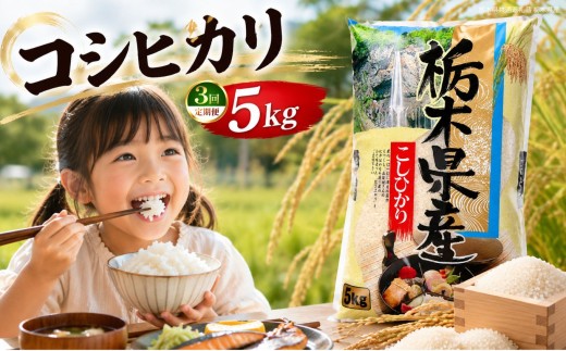 【定期3回】新米 令和8年度 栃木県産 こしひかり 白米 5kg  | 発送 ふるさと 納税 コシヒカリ お米 精米 白米 玄米 大粒 共通返礼品 送料無料 那珂川町 栃木県【栃木県共通返礼品】