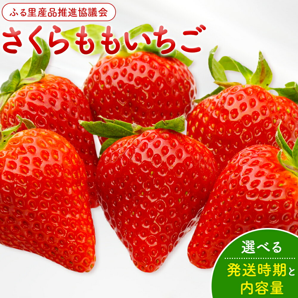【ふるさと納税】いちご 佐那河内村限定 さくらももいちご 4パック入り 24粒 28粒 化粧箱 JA徳島市佐那河内支所 ふる里産品推進協議会《配送時期をお選びいただけます》徳島県 佐那河内村【配送不可地域あり】※離島 | ブランドいちご 産地直送 ギフト大賞 ジューシー