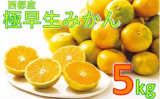 
今が旬！西都市産 極早生～早生みかん 5kg ＜1-219＞
