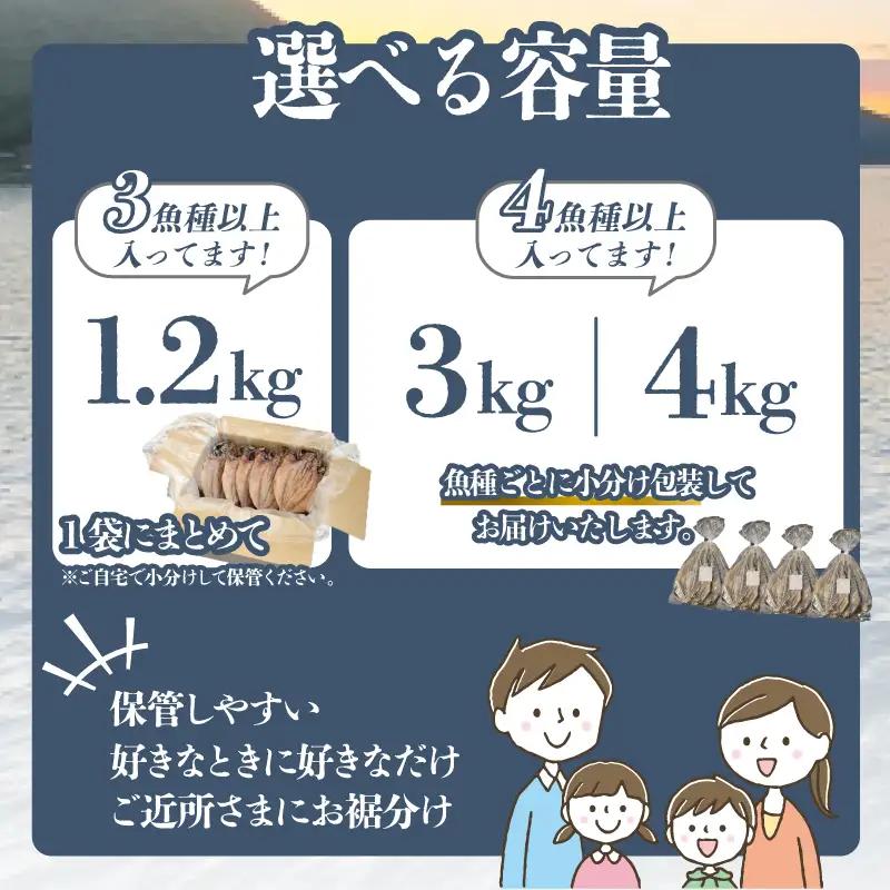 訳あり干物 3kg 詰め合わせ 沼津 ひもの 干物