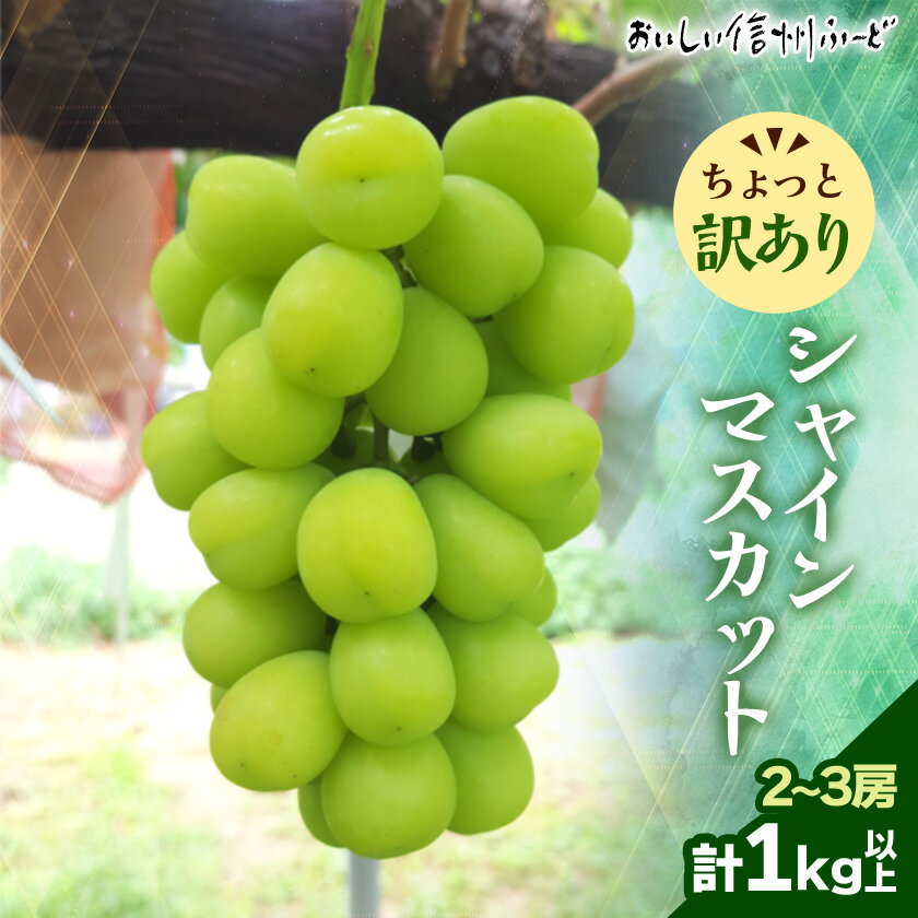 【ふるさと納税】ちょっと訳あり 信州産 新鮮朝採りシャインマスカット 2～3房1kg 2025年9月中旬～発送予定【配送不可地域：離島】【1625533】