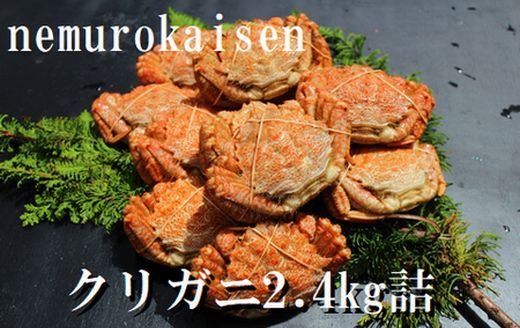 
                  C-57038 【北海道根室産】クリガニ200～250g×10～12尾(計2.4kg)
                