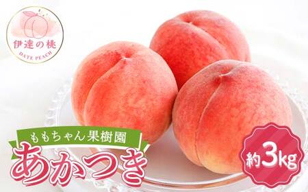 桃 あかつき 約3kg 2026年出荷分先行予約 桃 F21C-042