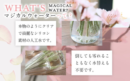 新春　淡雪桜　さくら　魔法の水　マジカルウォーター『薄紅』