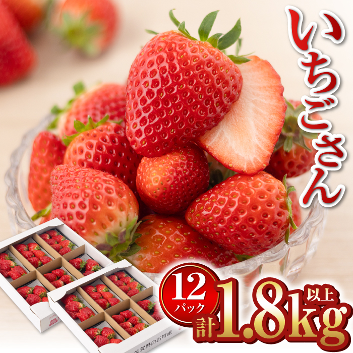 【2026年1月以降発送】【産地直送】白石産いちご「いちごさん」 約150g×12パック（計1800g以上）【道の駅しろいしカンパニー】 [IAA039]
