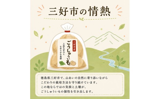 じゃがいも 5kg ごうしゅういも 小粒 秀品 いも ジャガイモ 馬鈴薯 ポテト 煮物 おでん でこまわし ごうしゅいも 源平いも ポテトサラダ ポテサラ 贈答 おすそ分け ホクホク 甘い 野菜 送料