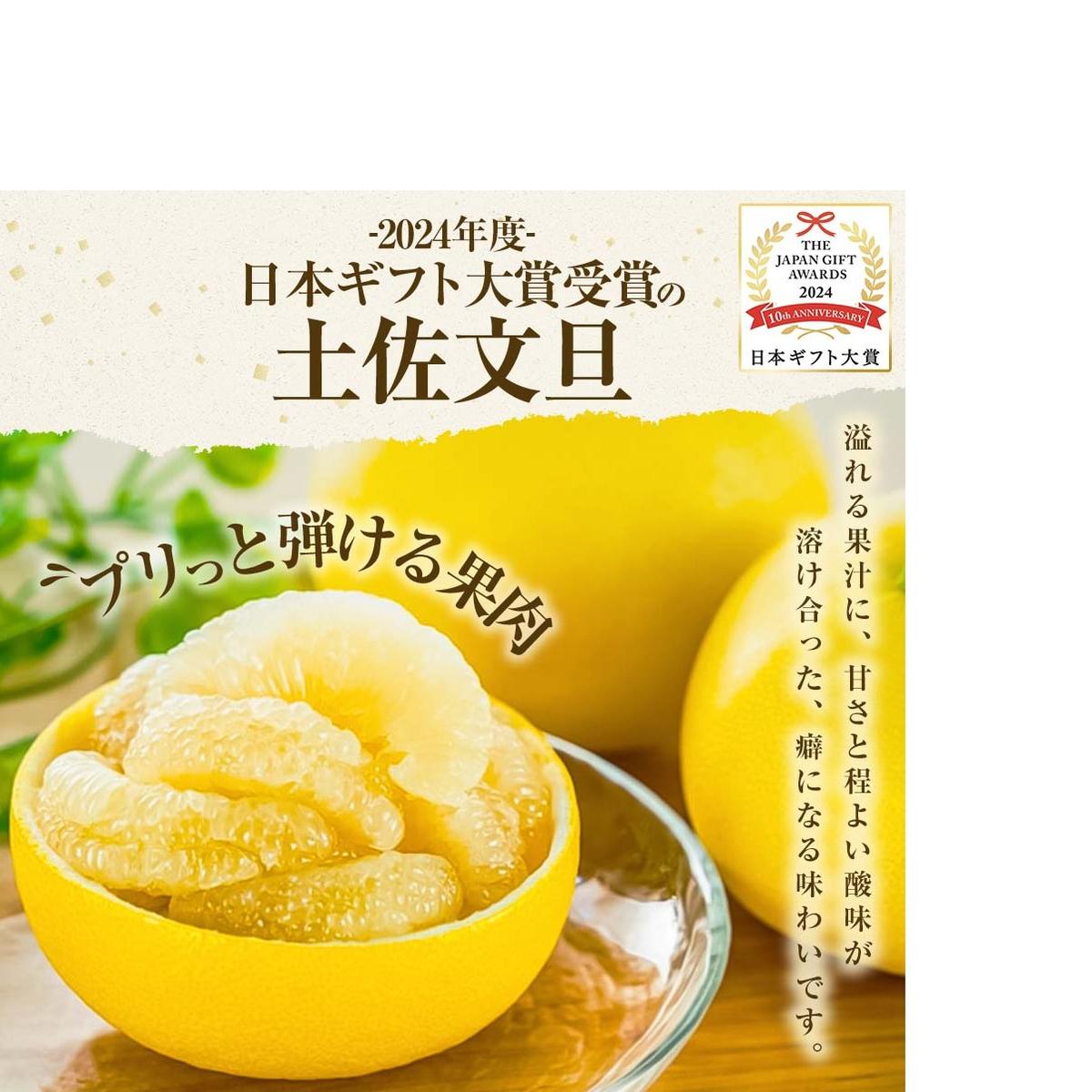 【日本ギフト大賞2024受賞】【先行予約】文旦 大玉5kg（3L～2L）2026年1月下旬より順次発送 土佐文旦 みかん 柑橘 ぶんたん ブンタン 果物 フルーツ お取り寄せ おいしい 家庭用 贈答用