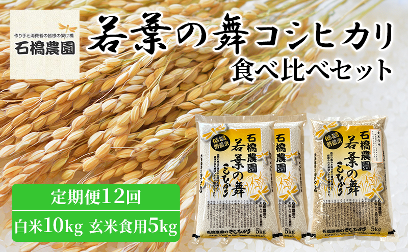 
米 若葉の舞 コシヒカリ 白米10Kg玄米食用5Kg 食べ比べセット 定期便12回 こしひかり お米 白米 玄米 セット 食べ比べ 定期便 精米 千葉 千葉県 低温保存 [№5346-0821]
