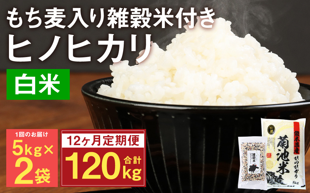 
            【定期便12ヵ月】熊本県菊池産 ヒノヒカリ 精米 計120kg(10kg×12) もち麦入り雑穀米 計4.8kg(400g×12) 米 お米 低温保管 残留農薬ゼロ
          