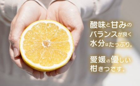 フルーツアイランド・マルエム直販の愛南産の河内晩柑 約10kg 柑橘 フルーツ 果物 蜜柑 みかん くだもの mikan かわち ばんかん かんきつ 和製 グレープフルーツ 愛南ゴールド デザート 果