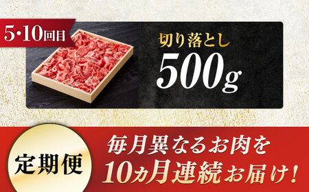 【10回定期便】飛騨牛 厳選セレクト定期便 / 飛騨牛 飛騨牛 飛騨牛 飛騨牛 飛騨牛 飛騨牛 飛騨牛 岐阜市/だるまミート [ANBE002]