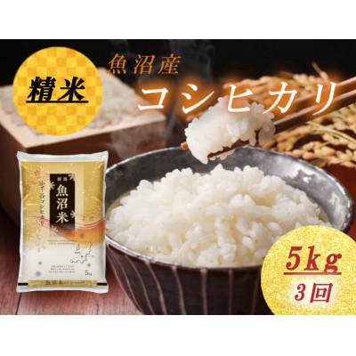 ふるさと納税 小千谷市 【毎月定期便】雪室貯蔵魚沼産コシヒカリ　精米　5kg全3回
