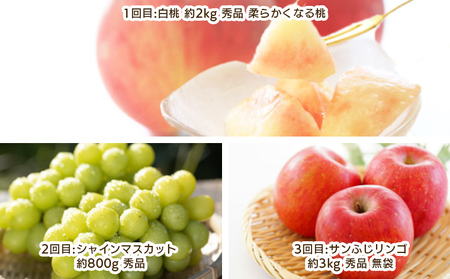 【定期便3回】やまがた こだわりのフルーツ定期便 FY25-042