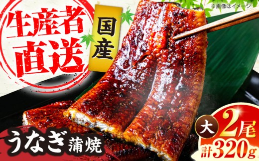 国産 うなぎ 蒲焼 大2尾 合計 320g (1尾あたり 160g以上) 《豊前市》【福岡養鰻】 国産 鰻 2尾 蒲焼き うなぎ ウナギ お祝い プレゼント 贈答 ギフト うなぎ 2尾 国産鰻 人気 おすすめ 福岡産 土用の丑の日 贅沢 ご褒美 ウナギ おいしい 鰻 かばやき 高級 特別 贅沢 unagi ひつまぶし うなぎ ウナギ 鰻 九州 福岡 豊前市 [VAD002]
