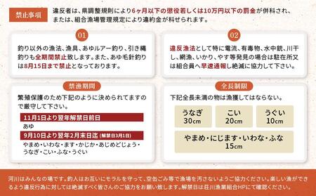 高山市荘川地区 遊漁証・年釣漁券(鮎友釣) 1名分 | 釣り 遊漁証 年釣り 荘川 アウトドア  飛騨高山 桜の郷猿丸管理組合 NN016