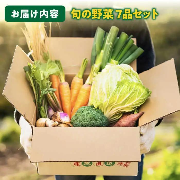 旬のお野菜7品セット《壱岐市》【壱岐市農業協同組合】[JBO001] 野菜 10000円