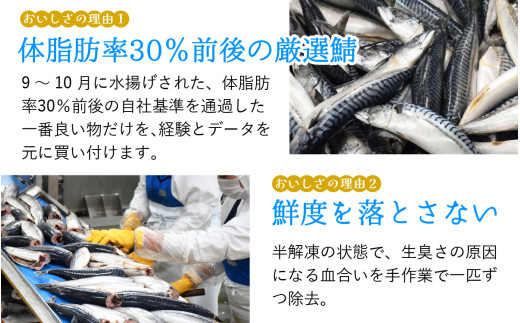 【チョイス缶詰・瓶詰ランキング第2位獲得！】鯖缶詰12缶詰め合わせＡ 180g×12缶｜サバ缶 鯖缶 さば缶 鯖 サバ さば 缶詰 サバ缶詰 鯖缶詰 缶 詰合せ 詰め合せ セット 非常食 防災 備蓄 