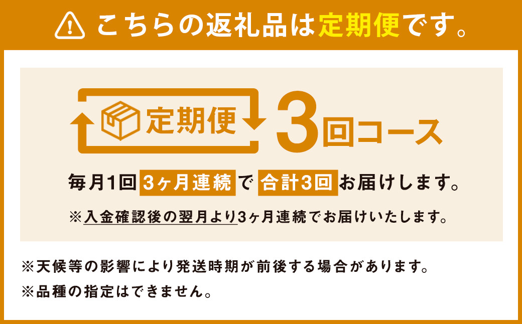 【定期便年3回】 旬の野菜 10品 