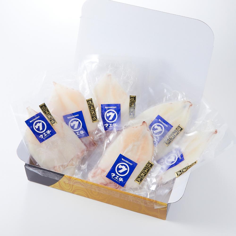 博多製造 九州産 やりいか 一夜干し