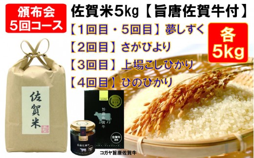 
            【定期便セット】佐賀米5kgと旨唐佐賀牛セット：5回コース（夢しずく・さがびより・上場こしひかり・ひのひかり）
          