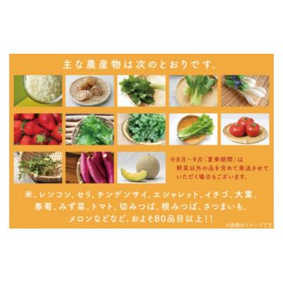 ふるさと納税 行方市 野菜王国なめがたの旬野菜便　CU-127 |  | 02