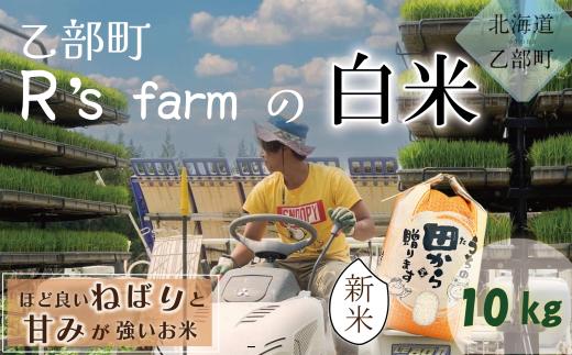 ＜北海道の米(10kg)～もっちり柔らか！若い農家が作る米～＞米 国産米 北海道 道産 道産米