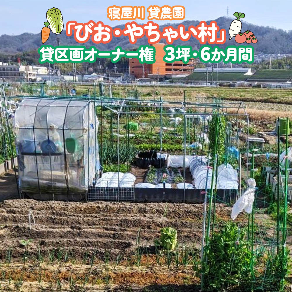 【ふるさと納税】寝屋川農園「びお・やちゃい村」貸区画オーナー権 (3坪・6か月間)｜貸し農園 家庭菜園 自家栽培 収穫体験 農業体験 果物 野菜 数量限定 大阪府 寝屋川市 [0022]