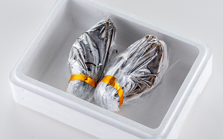 刺身用活〆冷凍伊勢海老420g【配送不可地域：離島】【1607614】