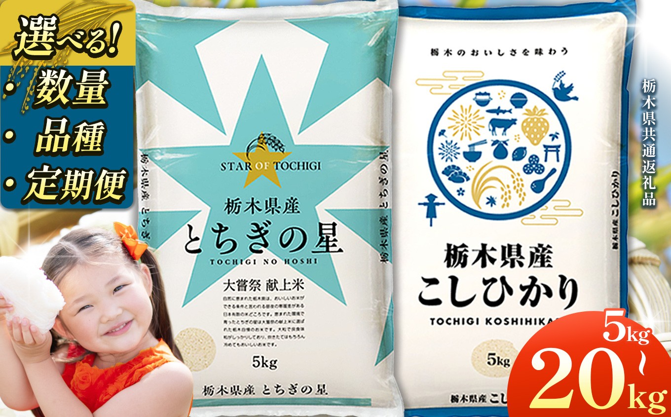 
                  選べる 定期便 米 お米 こめ コメ こしひかり コシヒカリ とちぎの星 1回 3回 5kg 10kg 20kg | 2025年 2025年米 令和7年米 秋 白米 ごはん ご飯 小分け 人気 おいしい 旨い おにぎり おむすび お弁当 限定 栃木県共通返礼品 栃木県 下野市 送料無料
                
