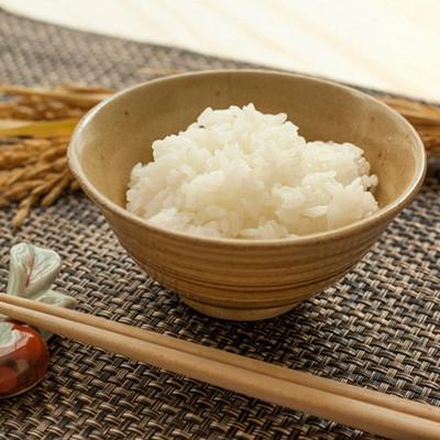 ふるさと納税 酒田市 コシヒカリ精米10kg(5kg×2袋) |  | 02