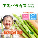 【ふるさと納税】朝採りアスパラガス 1kg 【 時期・サイズが選べる 】ハウス栽培 春芽 25年3月下旬~5月発送 / 夏芽 6月中旬〜9月発送【先行予約 グリーンアスパラ 野菜 サラダ 農家直送 産地直送 訳あり 不揃い ふぞろい】