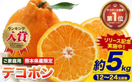 先行予約 デコポン ご家庭用 デコポン 約5kg 前後 (約12-24玉前後) 糖度13度以上 訳あり デコポン 《2026年2月上旬-4月末頃出荷》 個別光センサー選果 みかん 柑橘 フルーツ 旬 不知火 でこぽん 期間限定 厳選