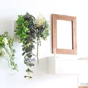 Botanical c.class 20　ナチュラル