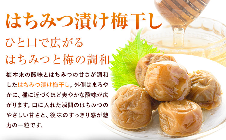 訳あり はちみつ漬け梅干し 350g×4箱 定期便 4回 農事組合法人 梅香丘《お申込み翌月から出荷》鹿児島県 さつま町 うめぼし 蜂蜜 お取り寄せ プレゼント---stm-umk-4-ev3---