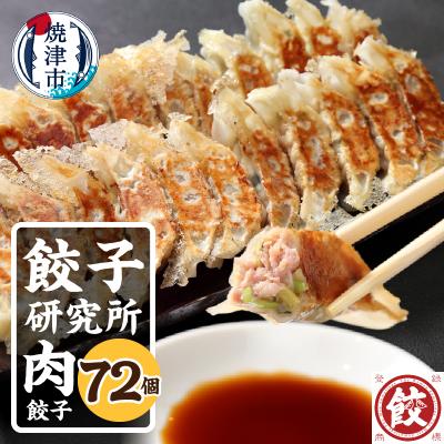 ふるさと納税 焼津市 餃子研究所　肉餃子×6パック(a11-148)