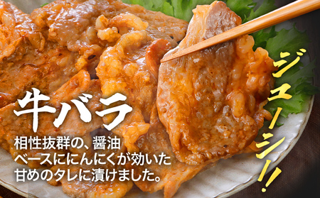 牛肉 豚肉 鶏肉 味付け肉 牛豚鶏 味付け 焼肉 セット 2.4kg 牛バラ 豚バラ ヤンニョムチキン モモ 味付き 小分け 保存 簡単調理 醤油 にんにく タレ 生姜 香味野菜 ネギ塩 キャンプ バ