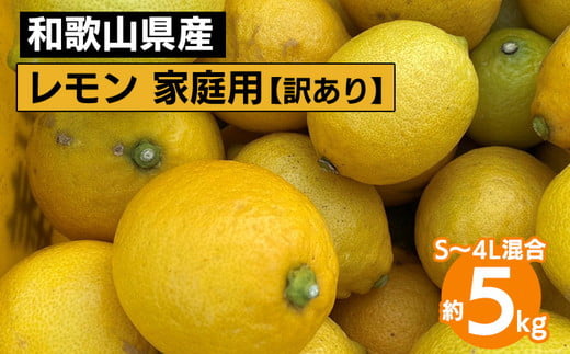 
            和歌山産 レモン 家庭用 5kg S～4L混合 訳あり ※2026年1月中旬～3月下旬頃に順次発送予定 ※北海道・沖縄・離島への配送不可
          