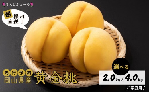 
            ＜選べる容量＞［なんばふぁーむ］岡山県産 黄金桃［ご家庭用］2.0kg（6～9玉）or 4.0kg（11～14玉）
          