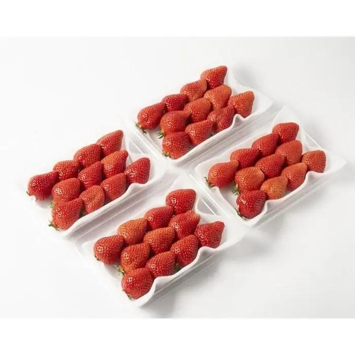 【2027年1月～2月出荷予定】完熟 あまおう イチゴ 280g×4パック(約1120g)＜配送不可：北海道、沖縄県、離島＞