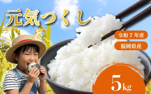 元気つくし 米 5kg 令和7年産 rice ライス 米 お米 こめ コメ 白米 ブランド 数量限定 限定 国産 福岡県産米 福岡県産 長期保存 備蓄 備蓄米 防災 ご飯 飯 コメ 朝食 夕ご飯 辻園芸 福岡 川崎町