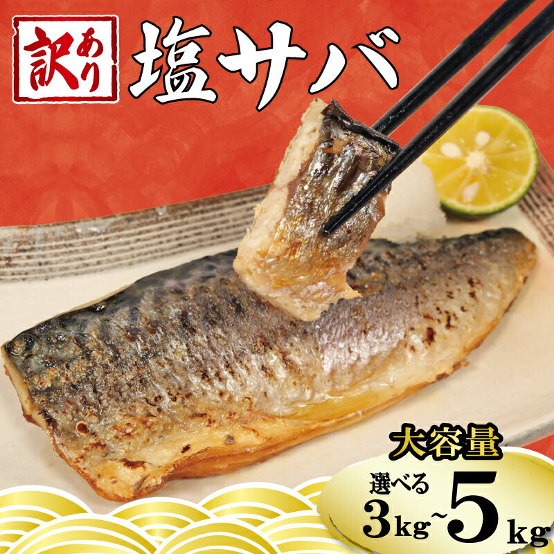 訳あり 塩サバ フィーレ 約3.5kg 冷凍 おかず 惣菜 鯖 さば 魚 海鮮 大容量 銚子 銚子東洋