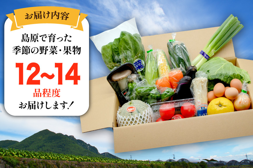 BF059 【12回定期便】旬の野菜・フルーツ (12〜14品目)・卵 (6個) おまかせ セット【 野菜 果物 卵 やさい くだもの 果物 タマゴ たまご 詰め合わせ 江戸屋 長崎県 島原市 】_イ